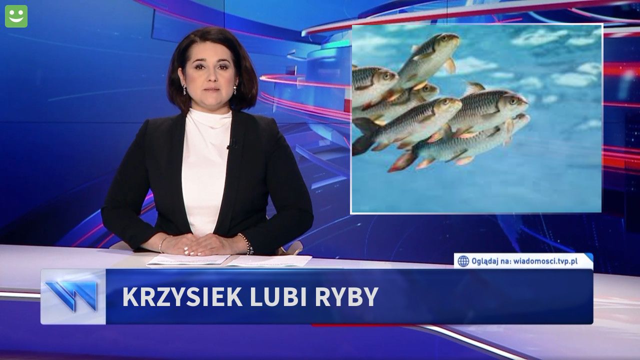 krzysiek lubi ryby 