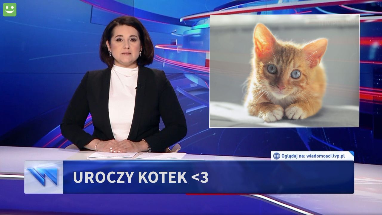 uroczy kotek <3