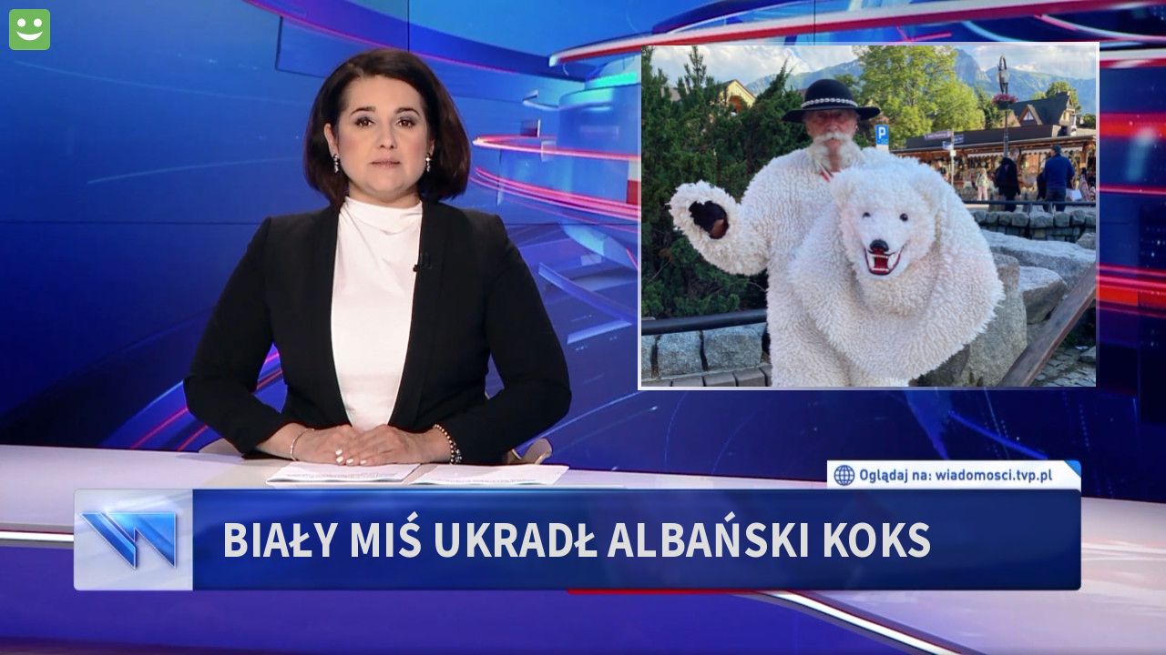 Biały miś ukradł albański koks