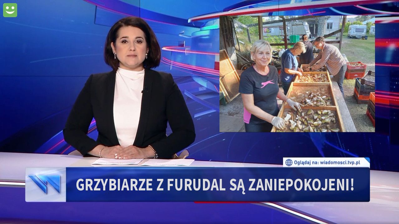 Grzybiarze z Furudal są zaniepokojeni!