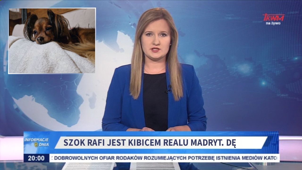 Szok Rafi jest kibicem Realu Madryt. dę