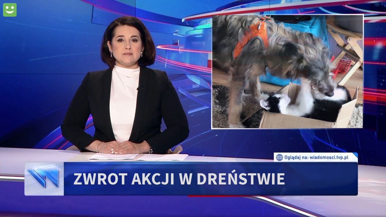 Zwrot akcji w Dreństwie