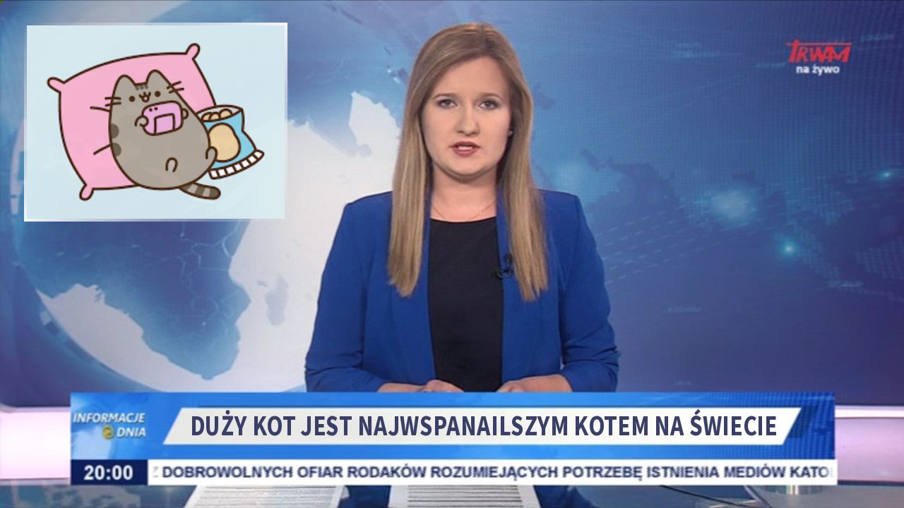 Duży kot jest najwspanailszym kotem na świecie