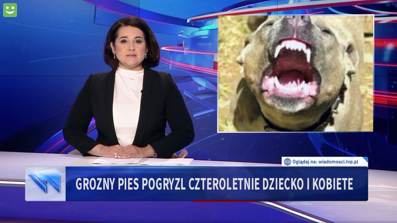 grozny pies pogryzl czteroletnie dziecko i kobiete