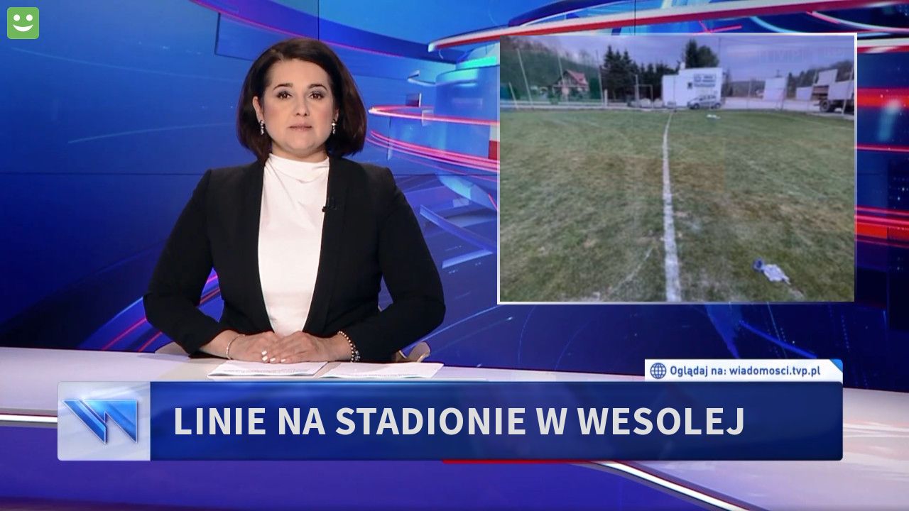 LINIE NA STADIONIE W WESOLEJ