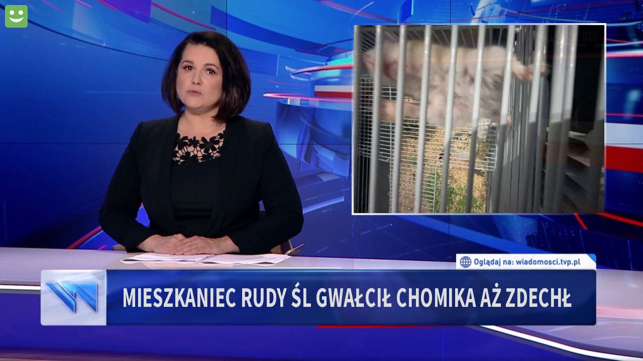 Mieszkaniec Rudy Śl gwałcił chomika aż zdechł