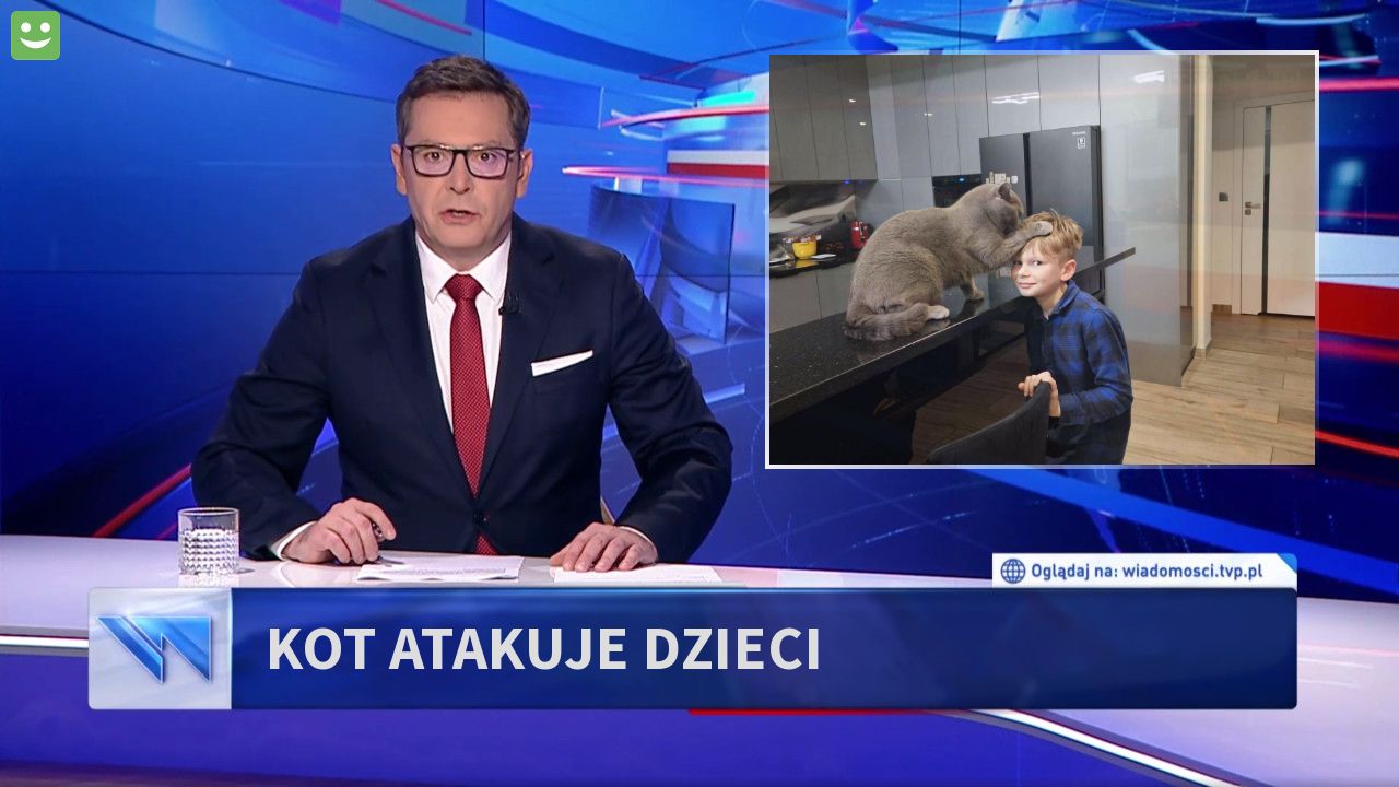 Kot atakuje dzieci 