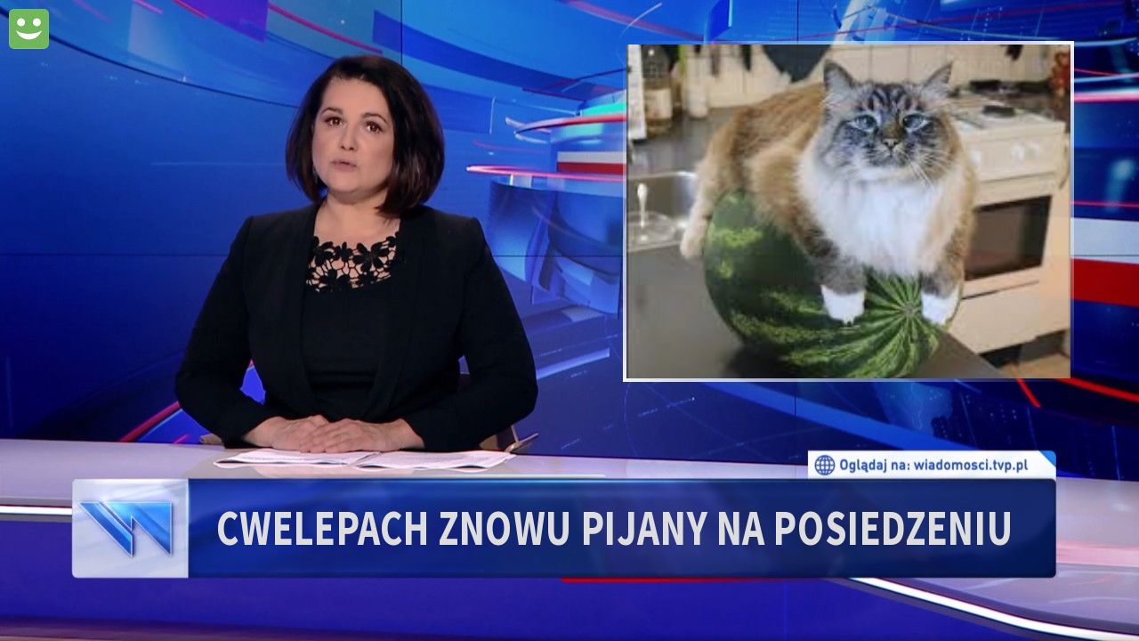 Cwelepach znowu pijany na posiedzeniu