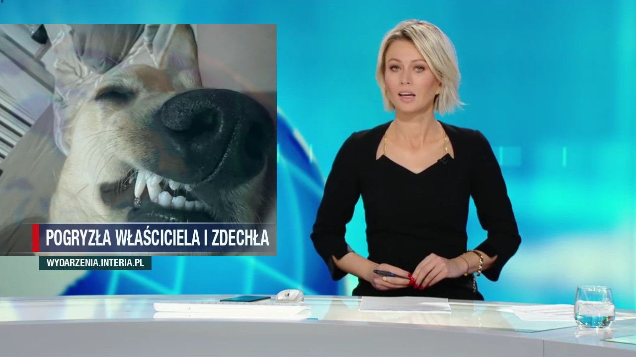 Pogryzła właściciela i zdechła 