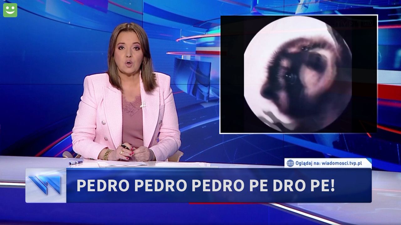 pedro pedro pedro pe dro pe!