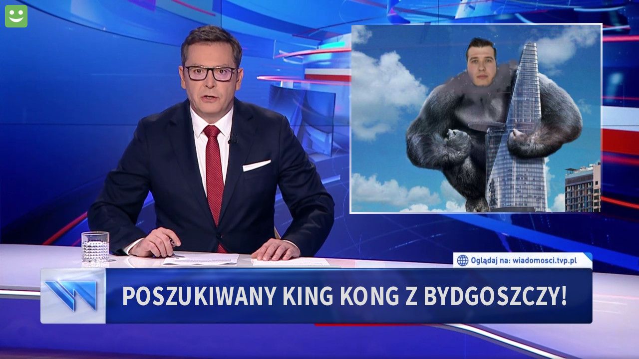 Poszukiwany King Kong z Bydgoszczy!