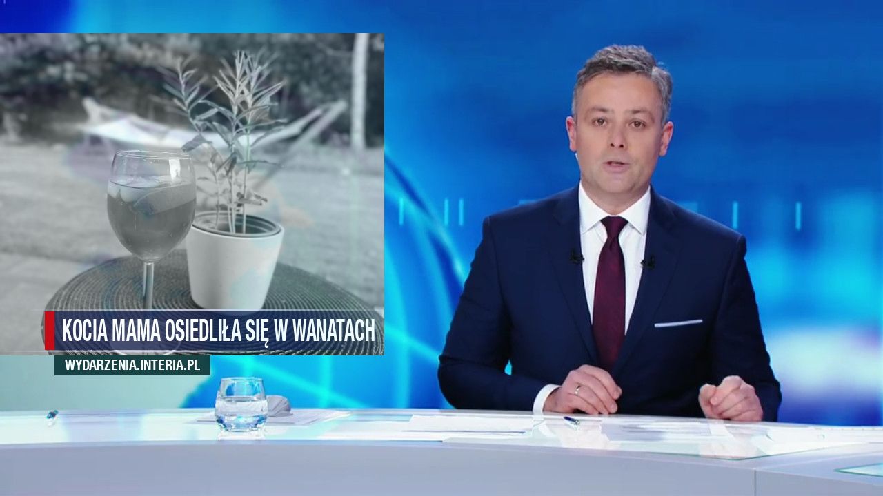 Kocia mama osiedliła się w Wanatach