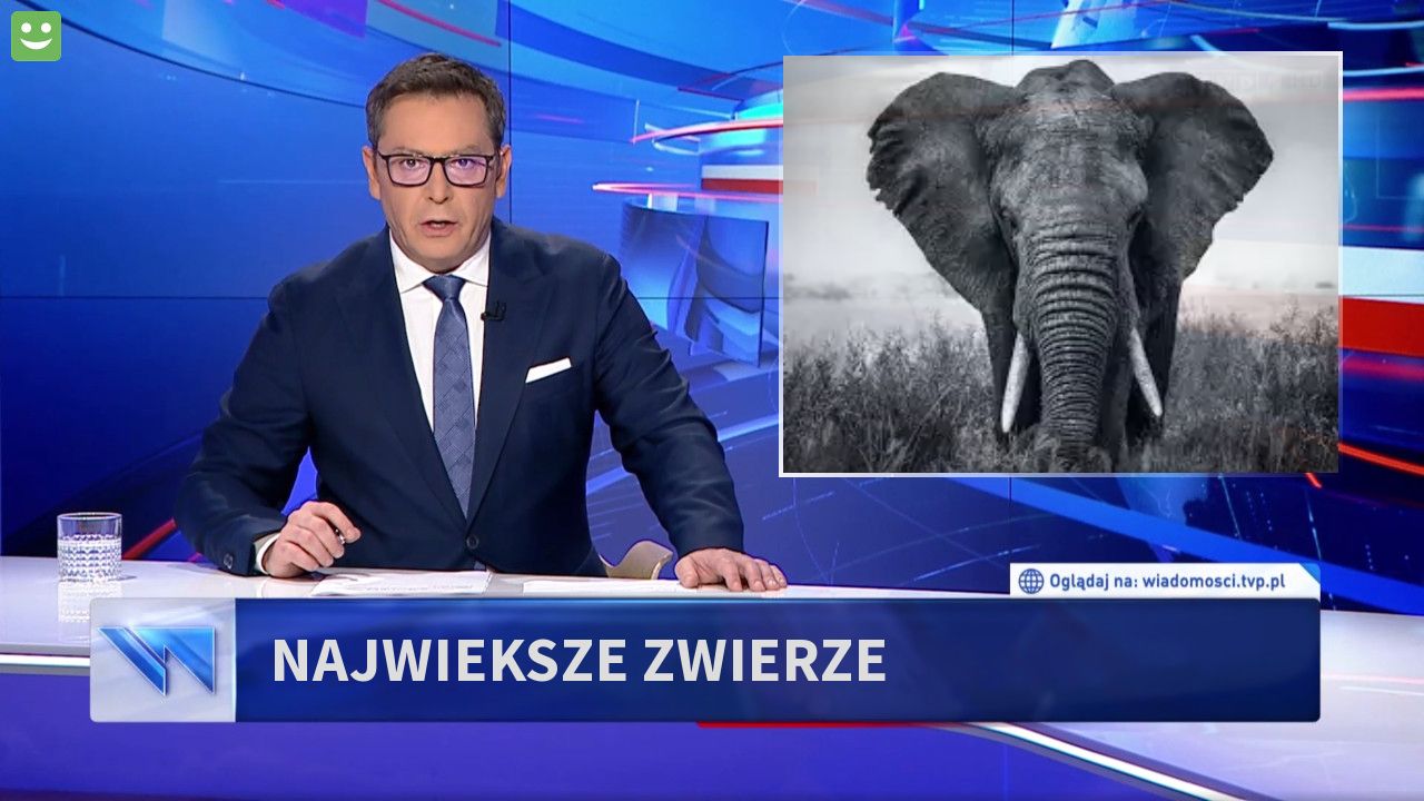 NAJWIEKSZE ZWIERZE