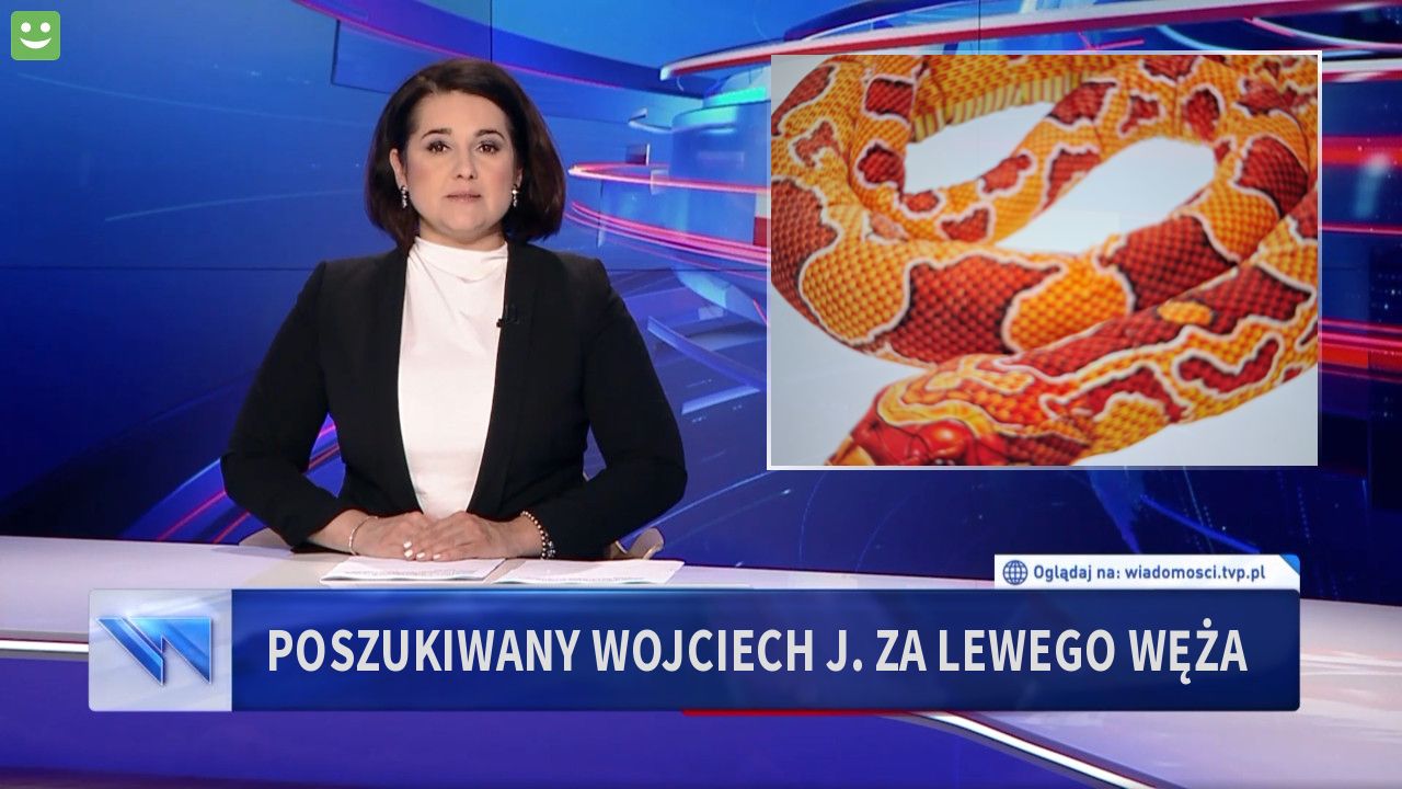 Poszukiwany wojciech j. Za lewego węża