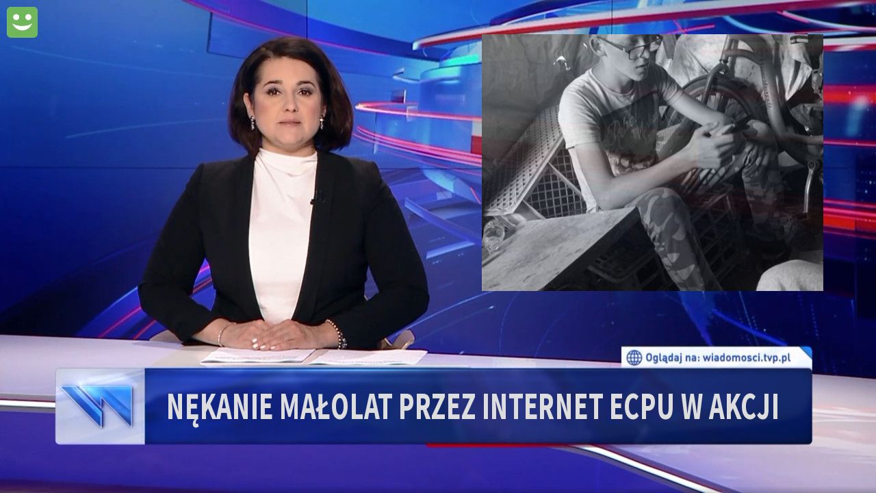 Nękanie małolat przez internet ecpu w akcji 