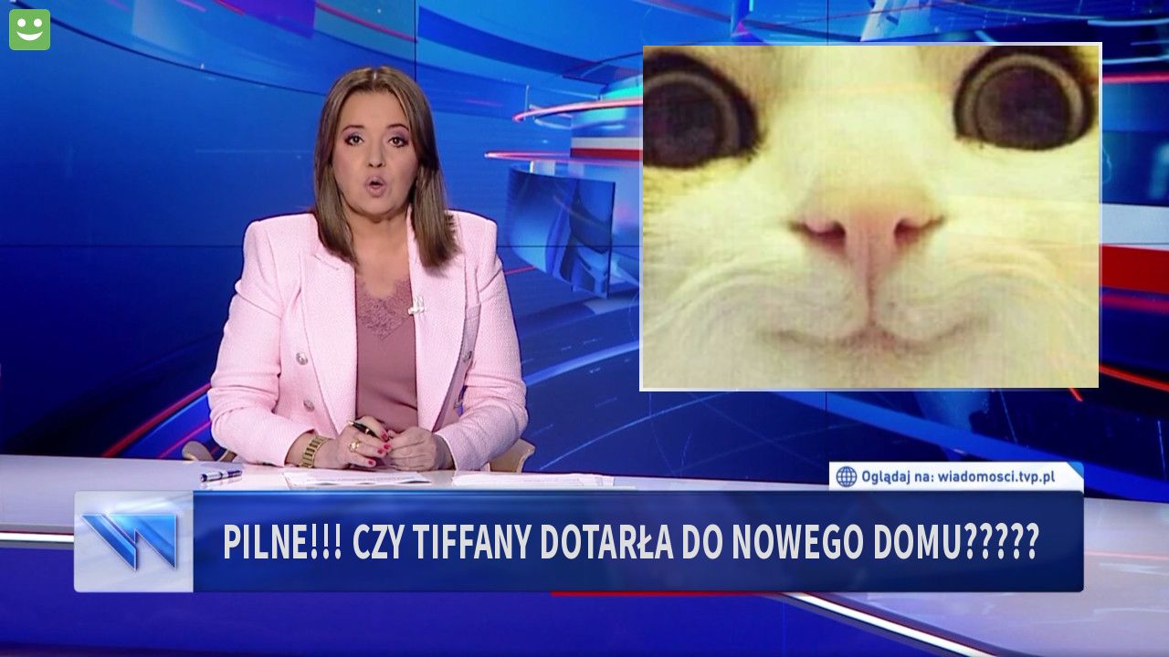 pilne!!! czy tiffany dotarła do nowego domu?????