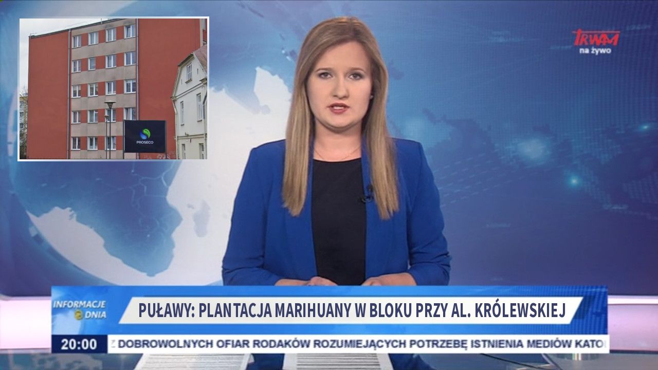 Puławy: plantacja marihuany w bloku przy Al. Królewskiej