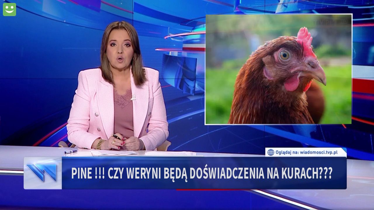 pine !!! czy weryni będą doświadczenia na kurach???