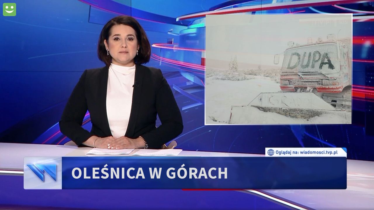 Oleśnica w górach 