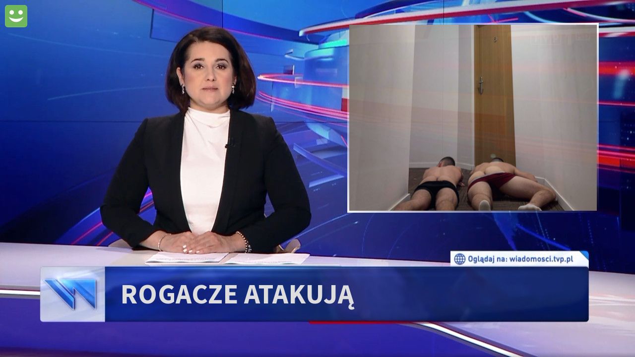 Rogacze atakują 