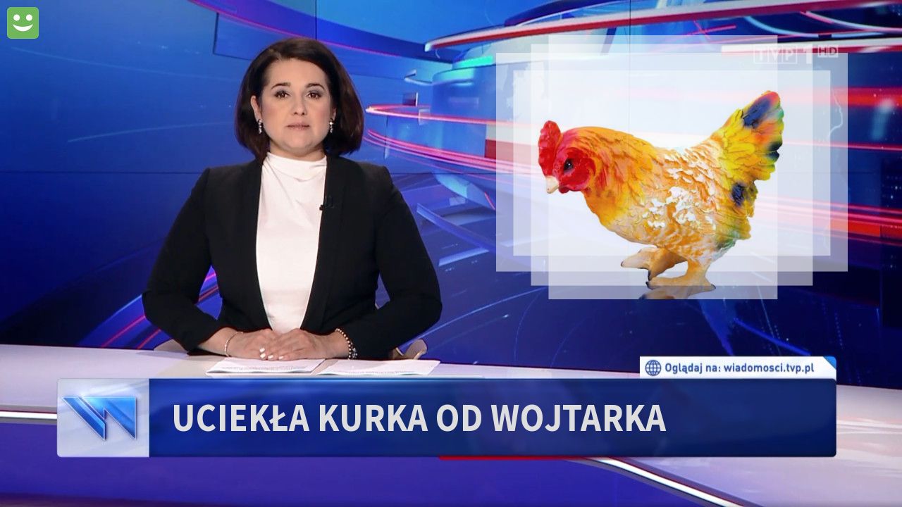 Uciekła kurka od Wojtarka