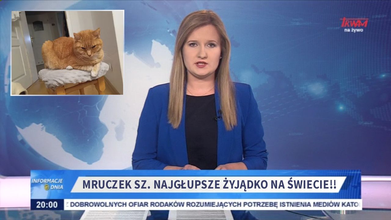 Mruczek sz. Najgłupsze żyjądko na świecie!!