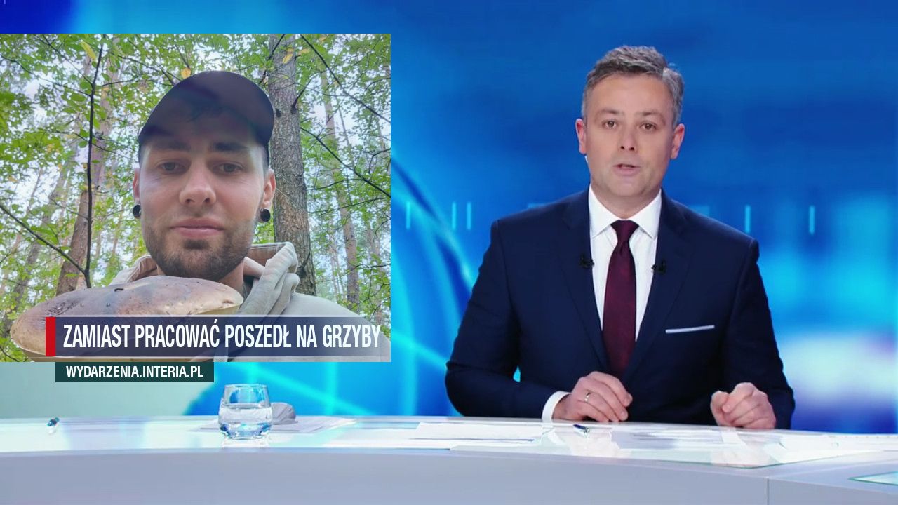 Zamiast pracować poszedł na grzyby