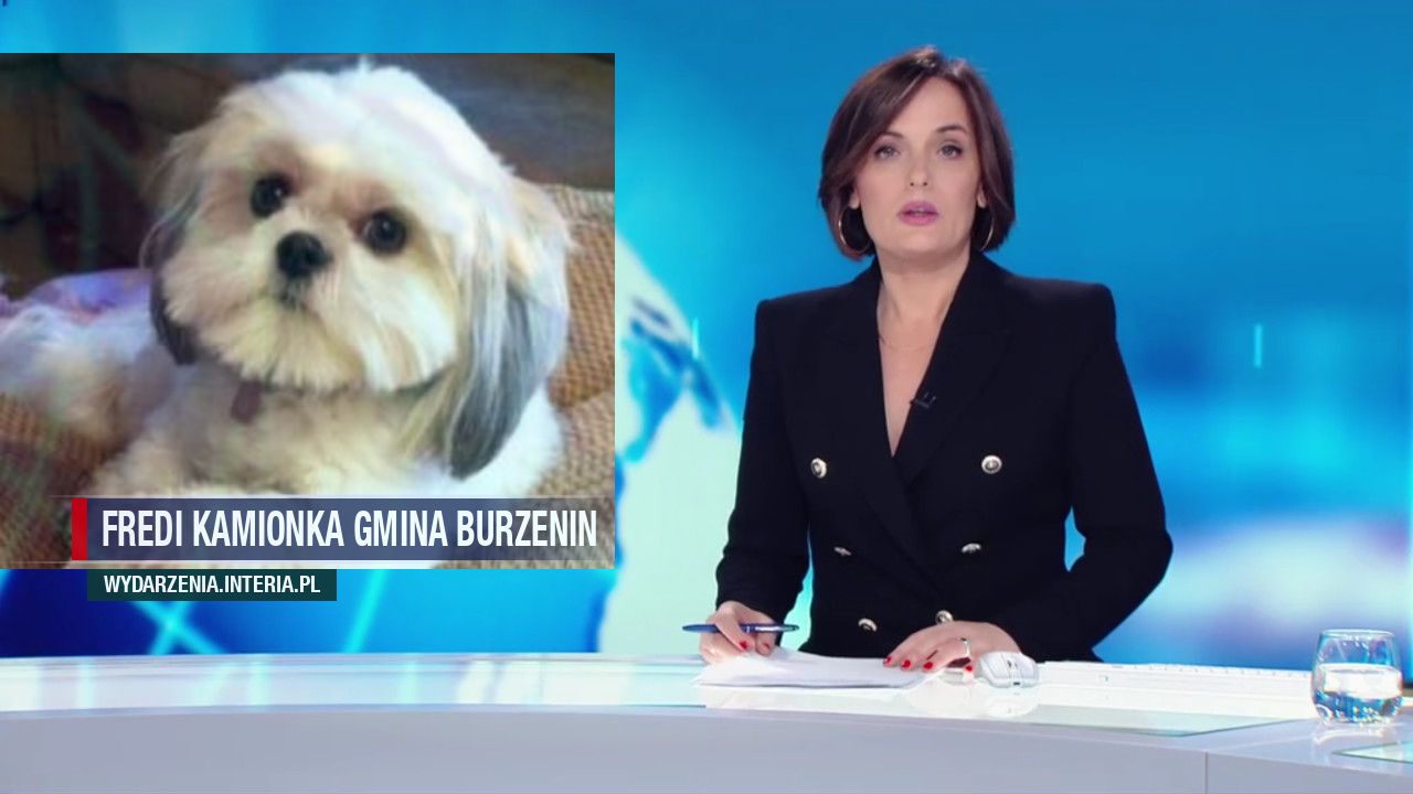 FREDI KAMIONKA GMINA BURZENIN