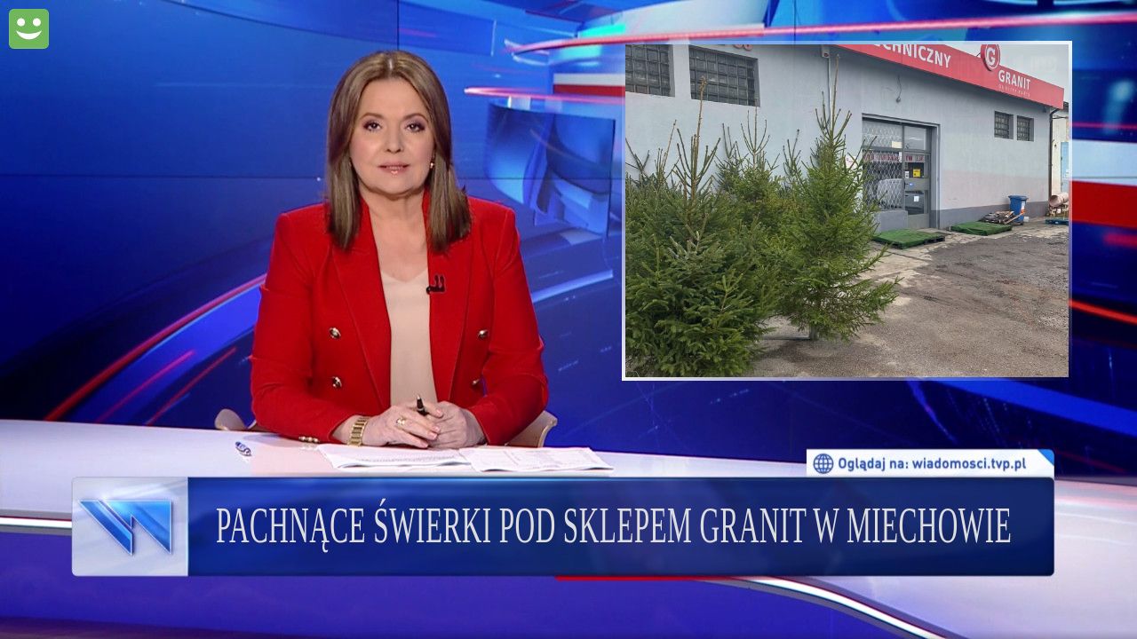 Pachnące świerki pod sklepem granit w miechowie