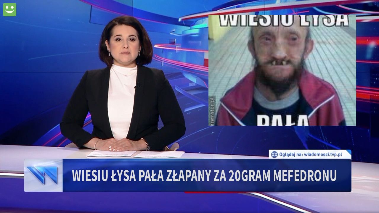 wiesiu łysa pała złapany za 20gram mefedronu 