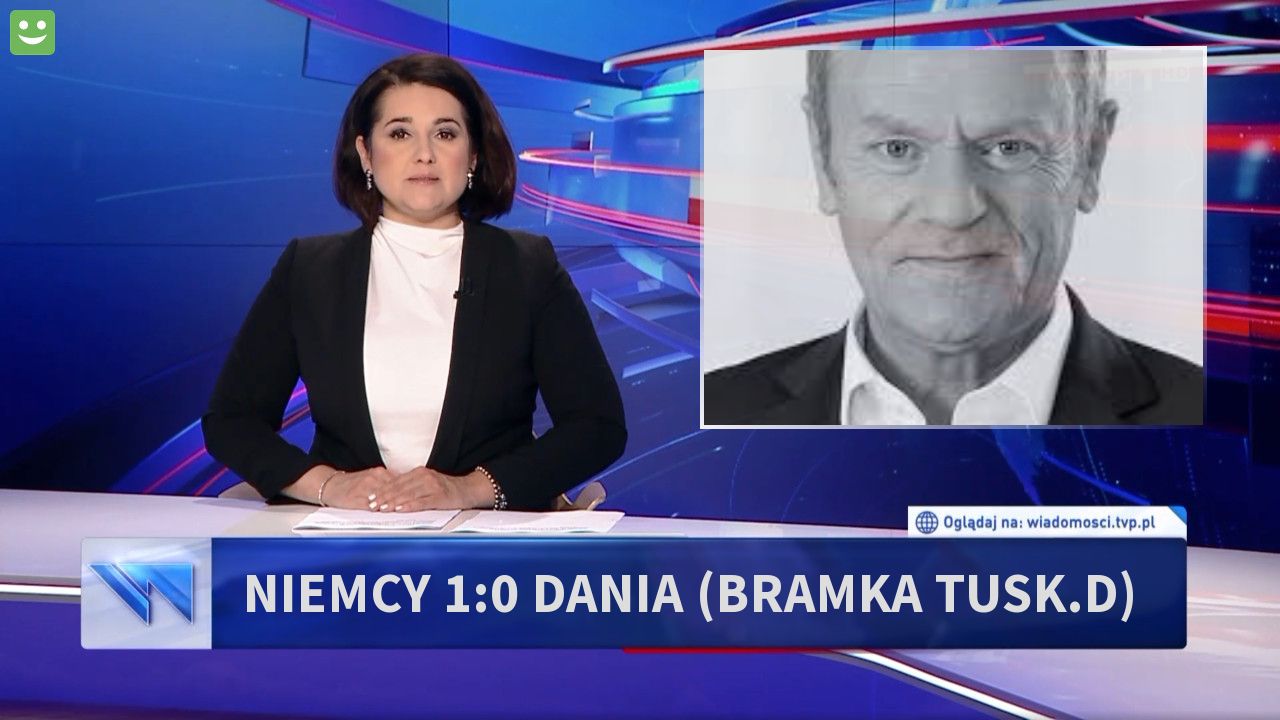 Niemcy 1:0 Dania (bramka Tusk.D)