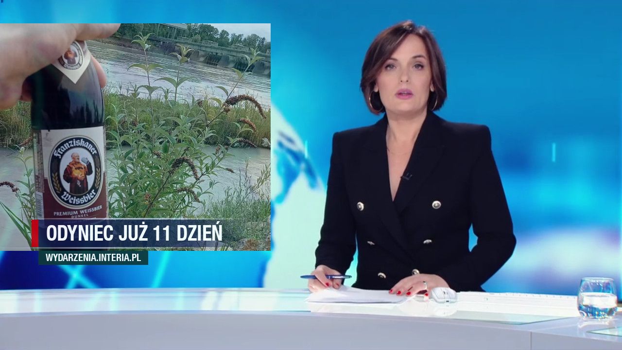 Odyniec już 11 dzień 