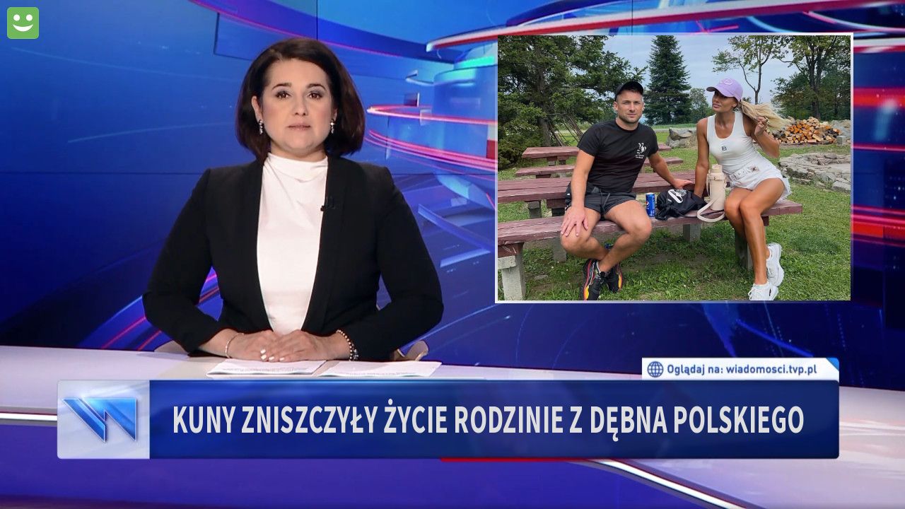 Kuny zniszczyły życie rodzinie z Dębna Polskiego 