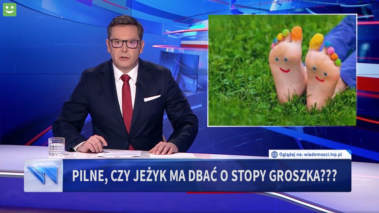 Pilne, czy jeżyk ma dbać o stopy groszka???