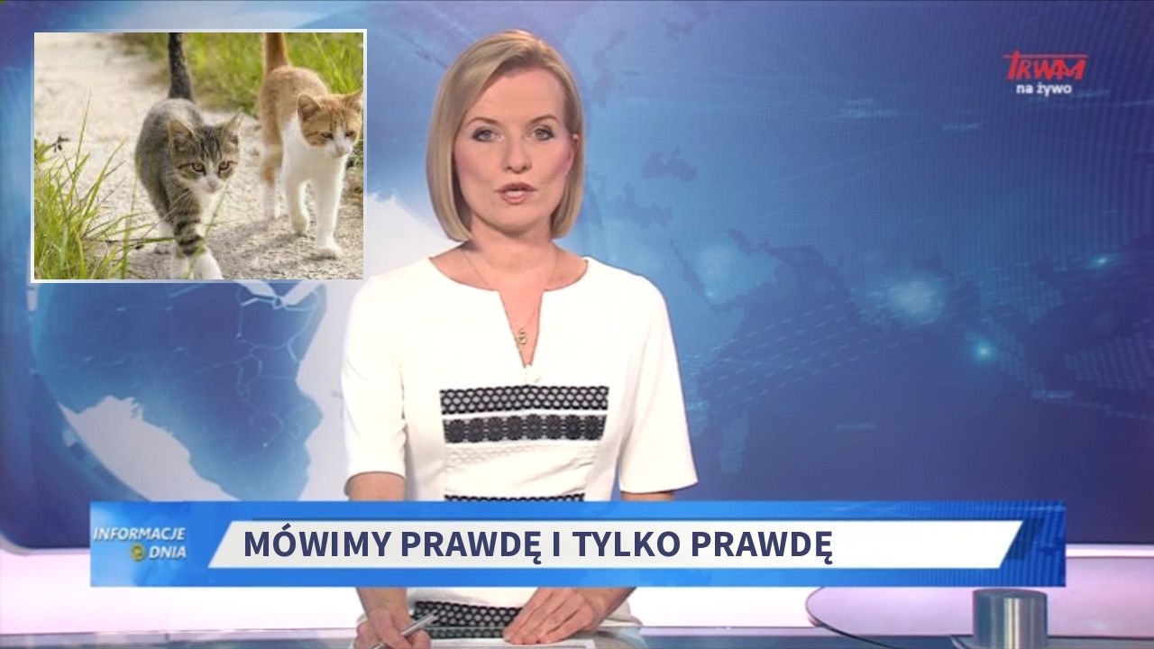 Mówimy prawdę i tylko prawdę