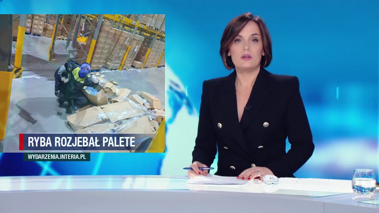 Ryba rozjebał palete