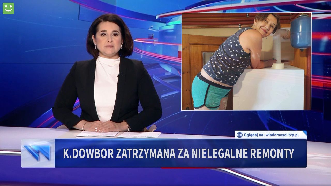 K.Dowbor zatrzymana za nielegalne remonty