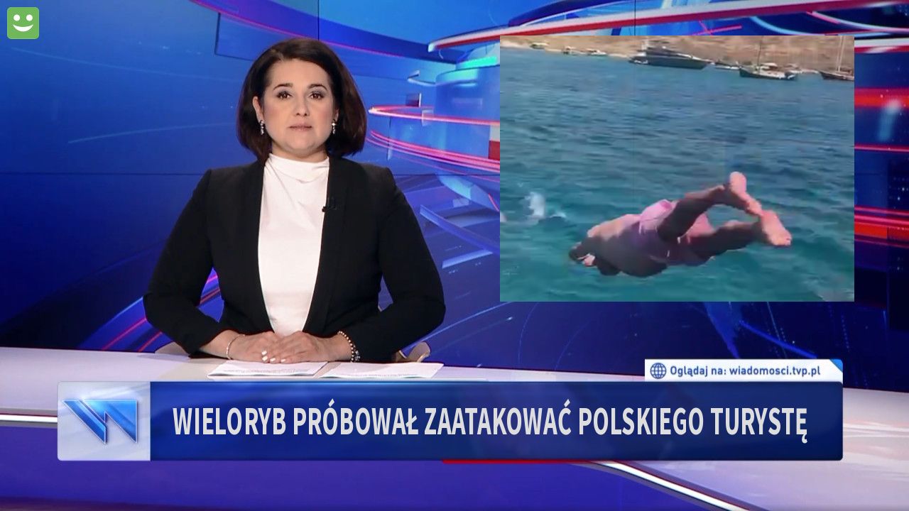 Wieloryb próbował zaatakować polskiego turystę 