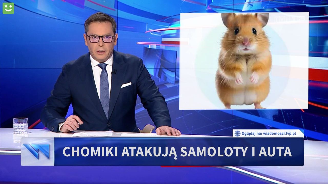 chomiki atakują samoloty i auta