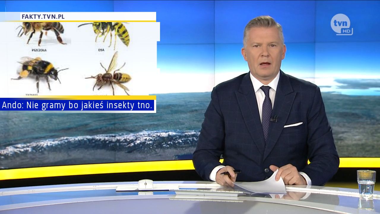 Ando: Nie gramy bo jakieś insekty tno.