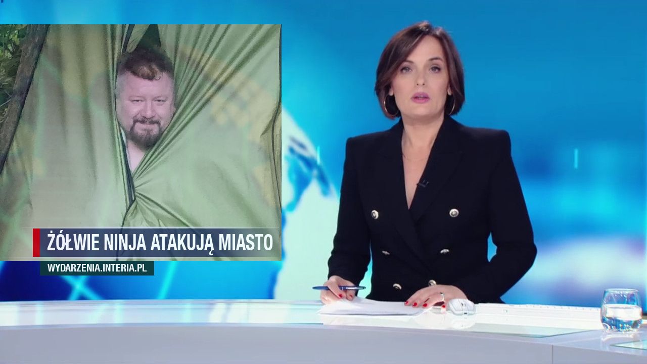 Żółwie Ninja Atakują miasto