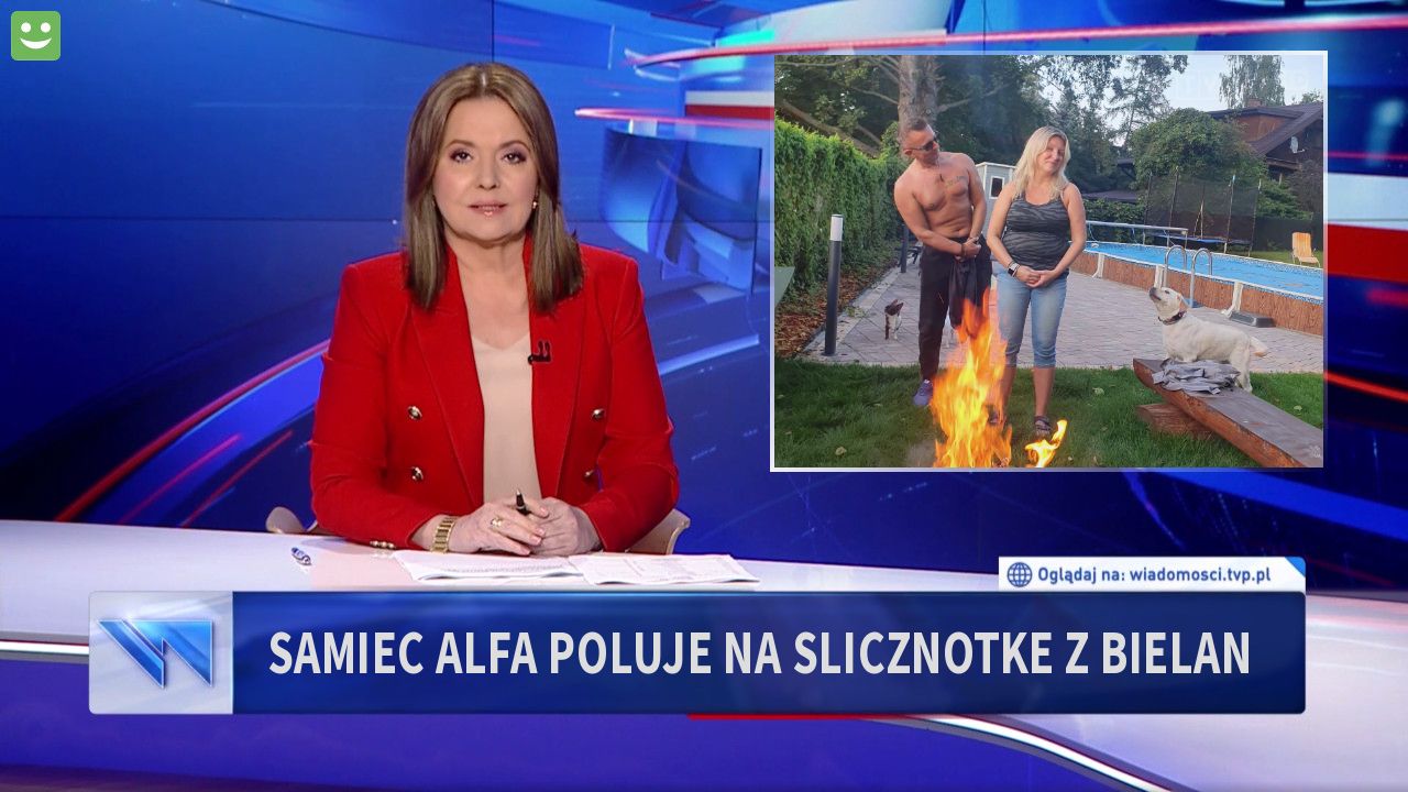 Samiec alfa poluje na Slicznotke z Bielan 