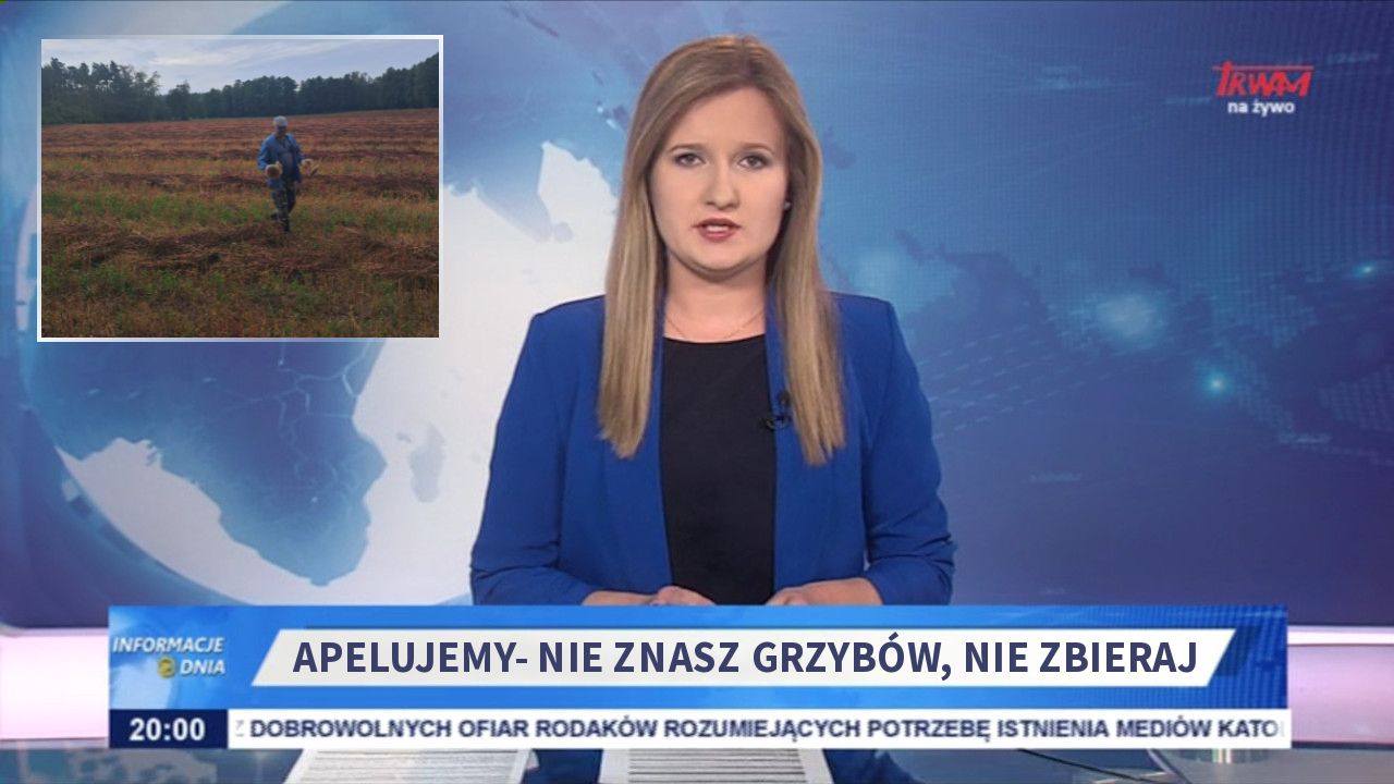 Apelujemy- nie znasz grzybów, nie zbieraj