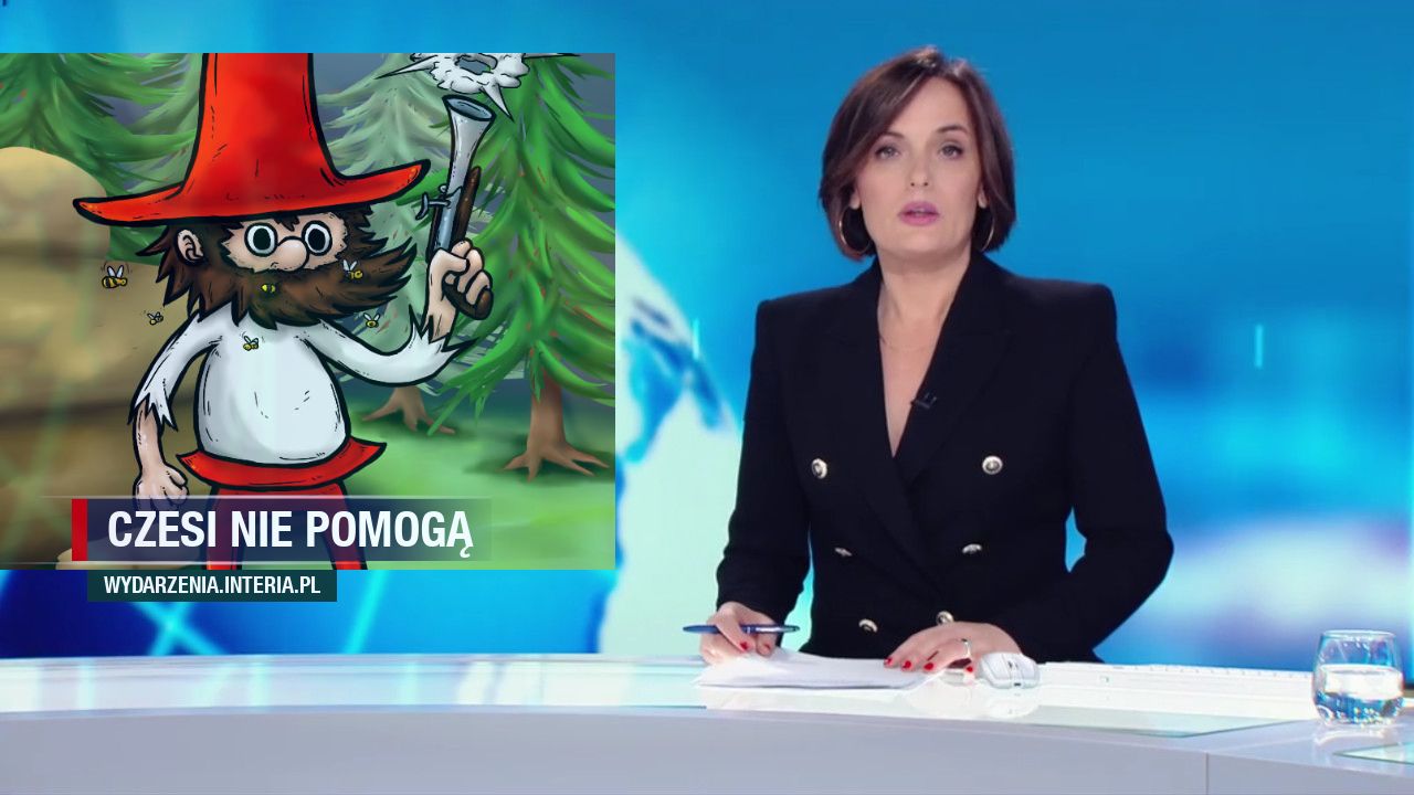 Czesi nie pomogą 