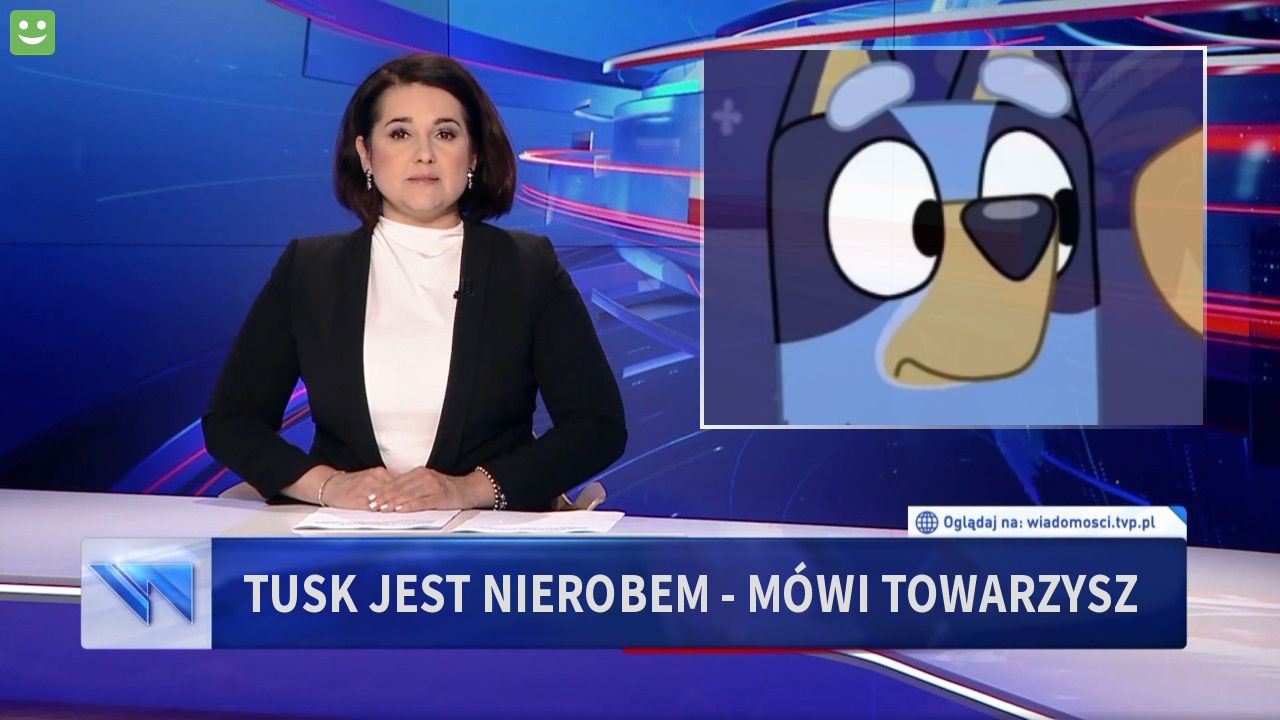 Tusk jest nierobem - mówi Towarzysz