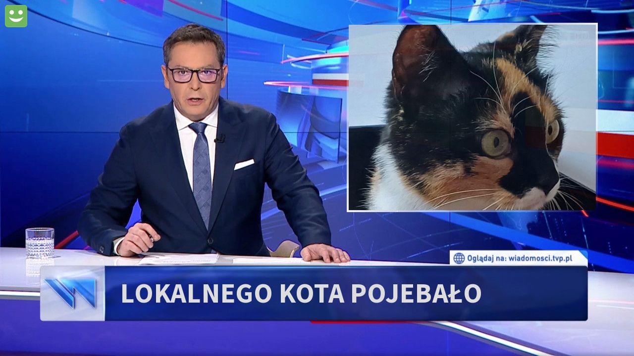 Lokalnego Kota Pojebało