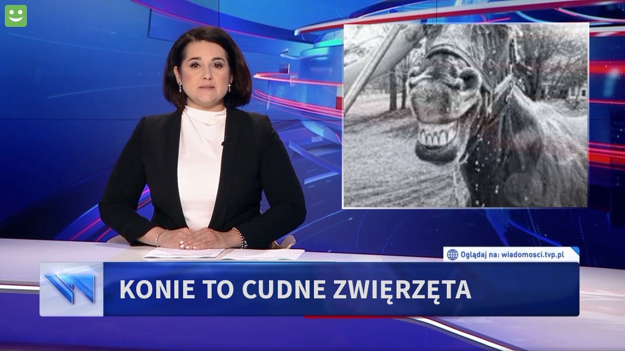 konie to cudne zwięrzęta