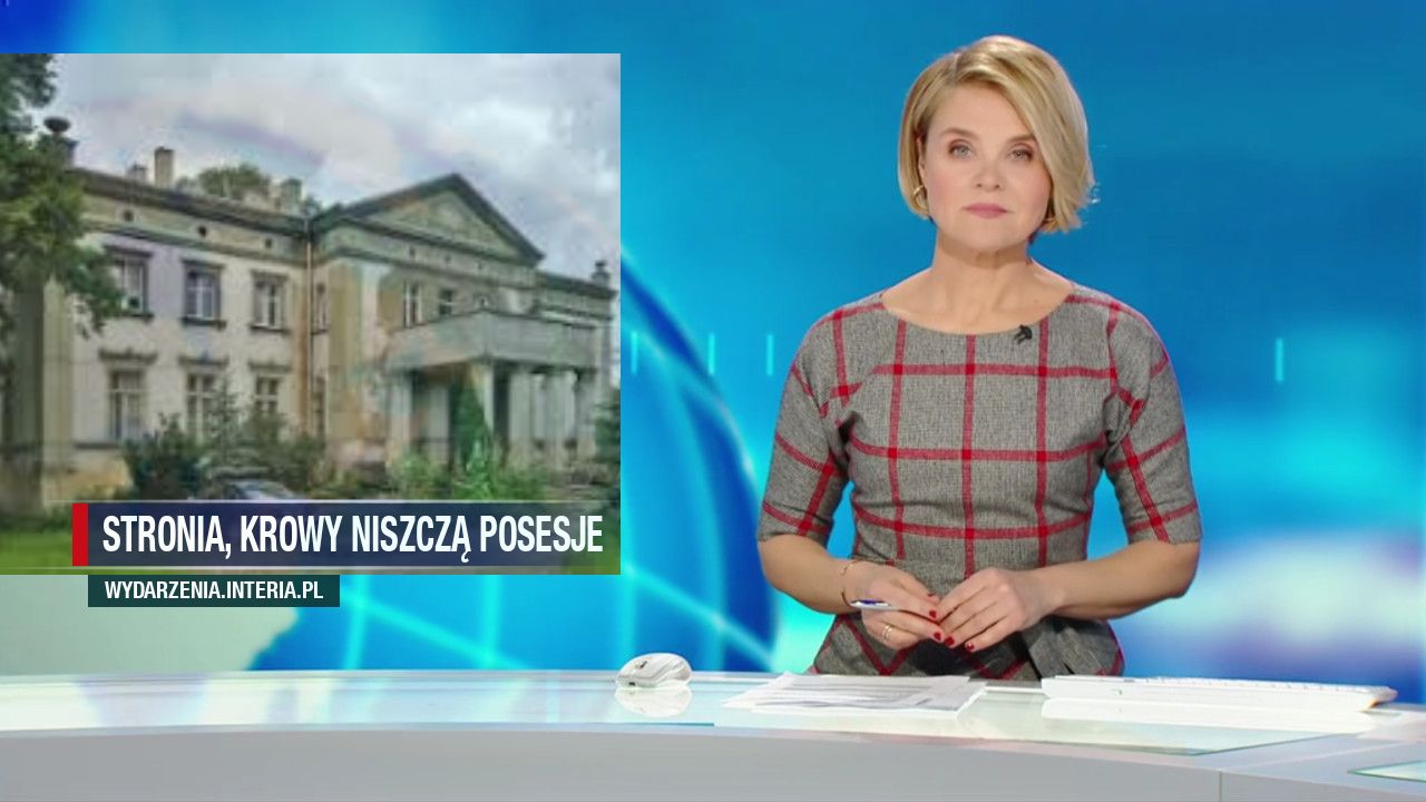 Stronia, krowy niszczą posesje