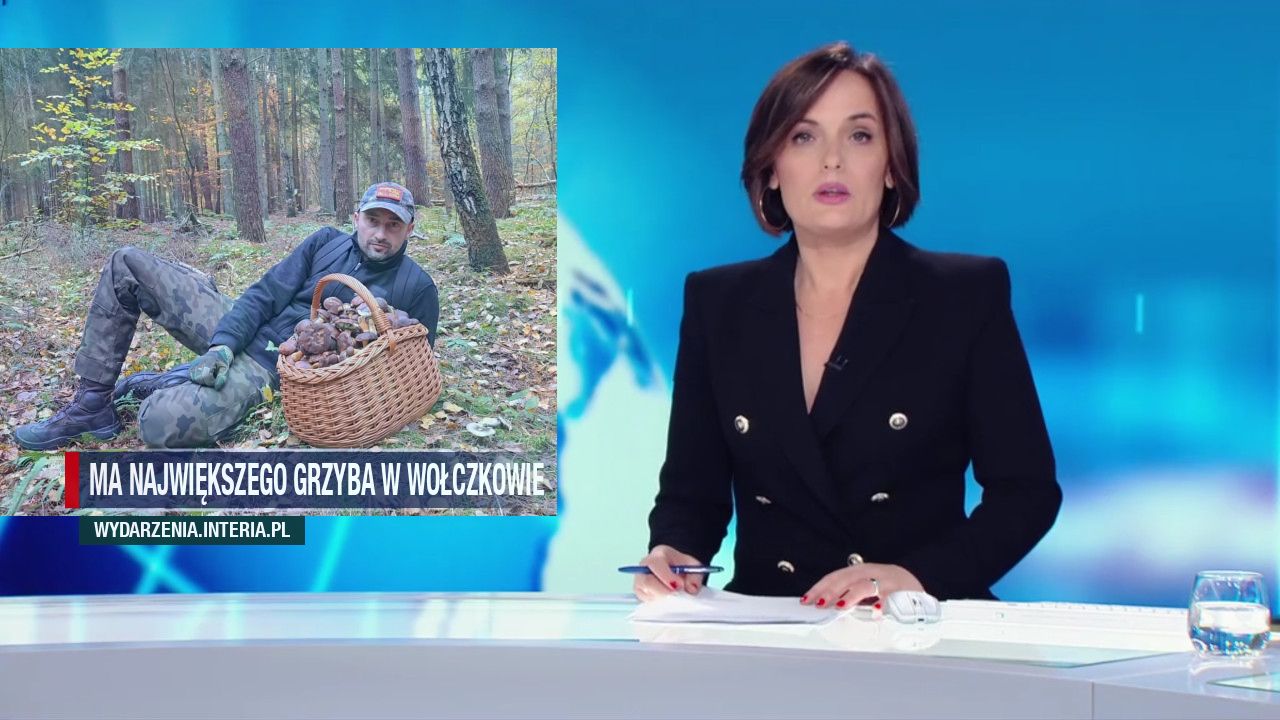 Ma  największego grzyba w Wołczkowie 