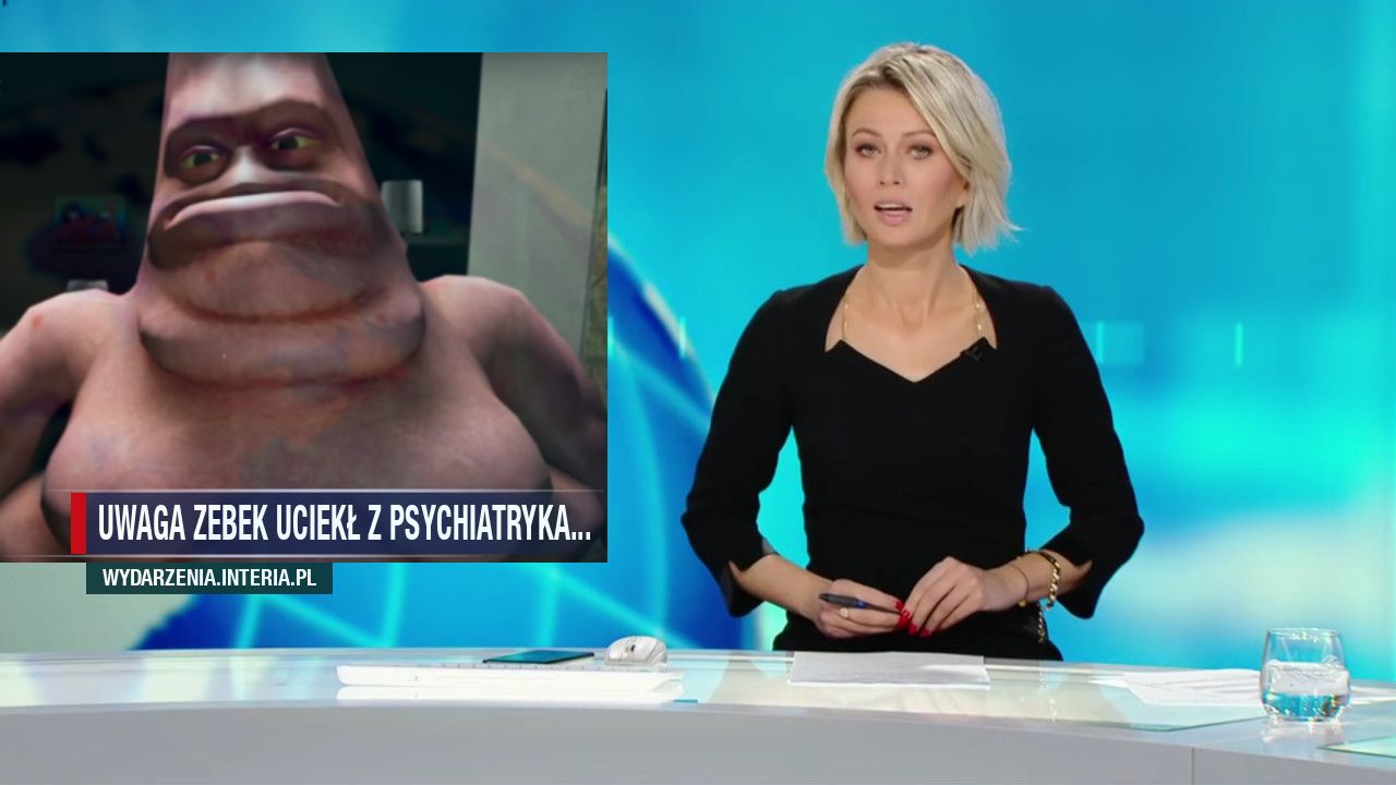 Uwaga zebek uciekł z psychiatryka...